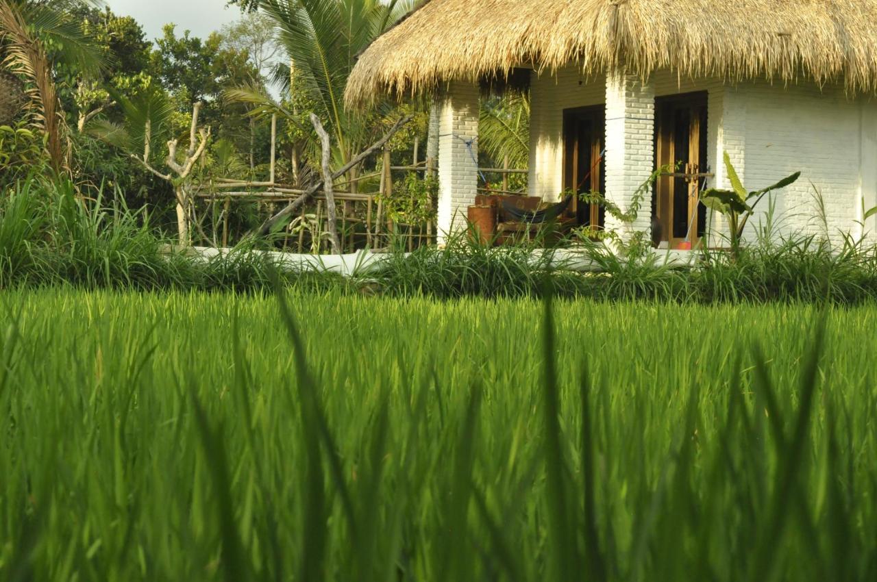 Mu Homestay Tetebatu Exteriér fotografie