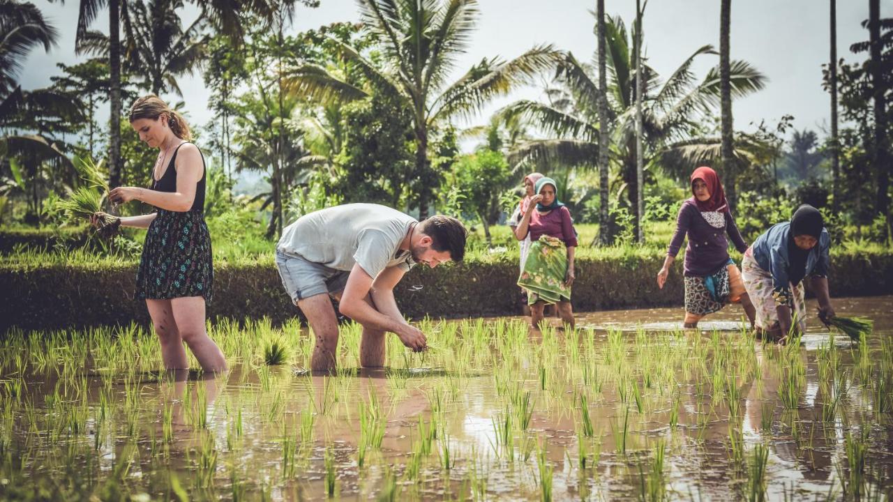 Mu Homestay Tetebatu Exteriér fotografie