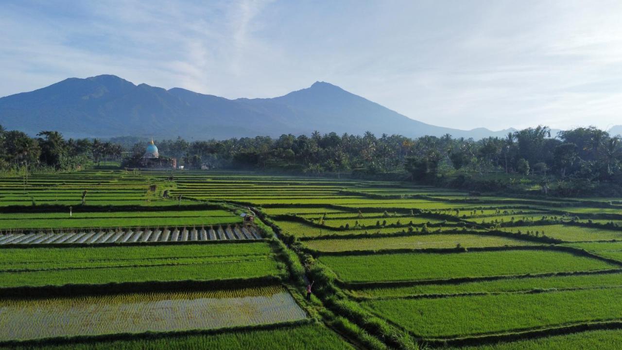 Mu Homestay Tetebatu Exteriér fotografie