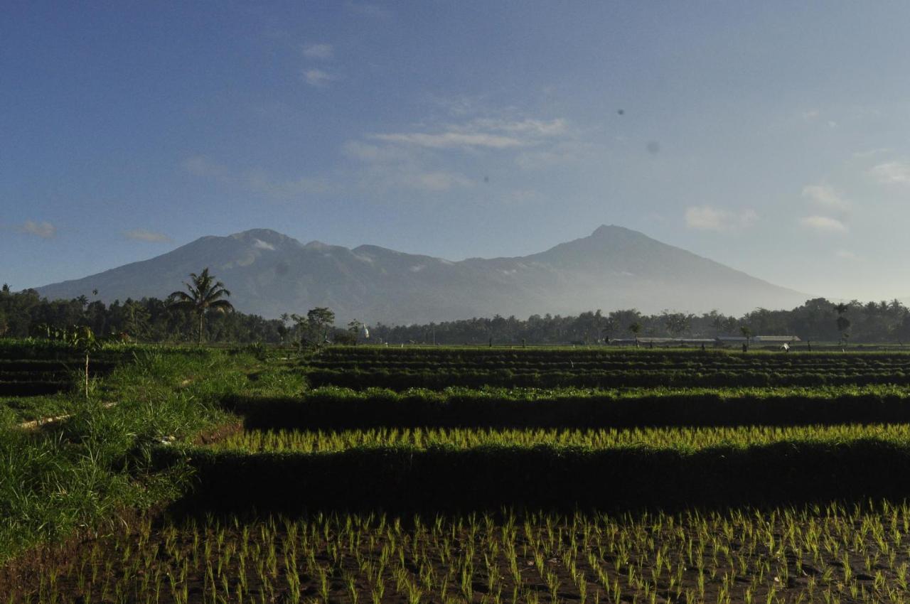 Mu Homestay Tetebatu Exteriér fotografie