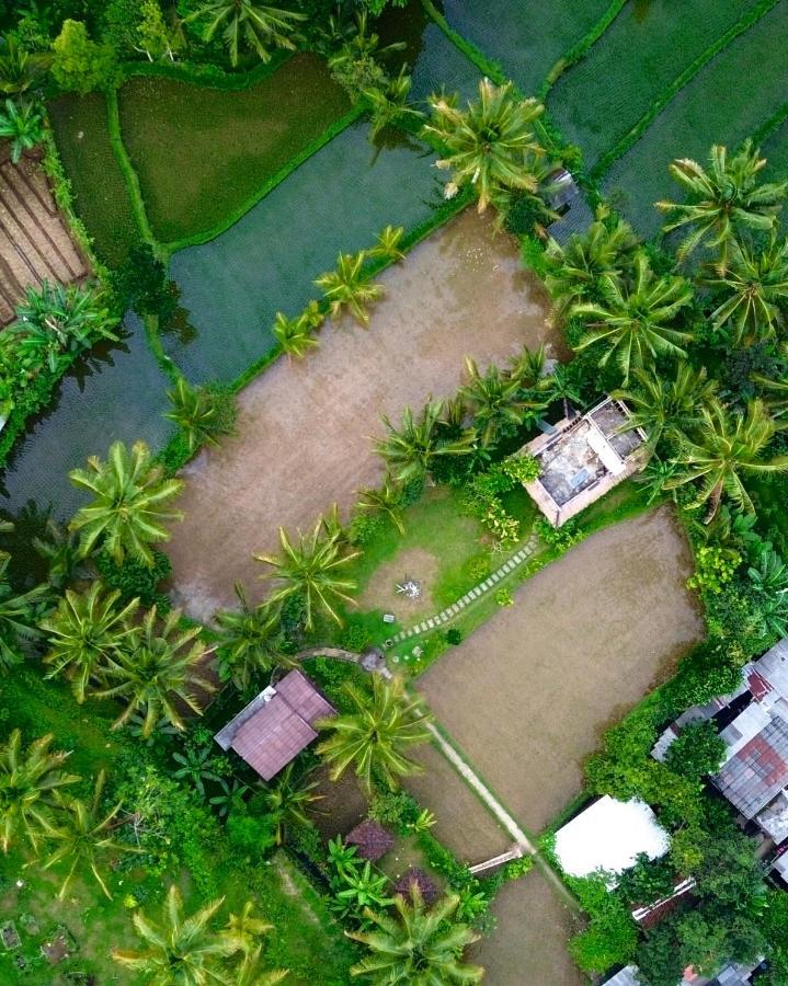 Mu Homestay Tetebatu Exteriér fotografie