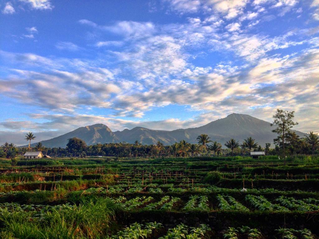 Mu Homestay Tetebatu Exteriér fotografie